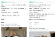 天天吉历闲鱼：LABUBU搜索量环比上涨1000%，供不应求下现租赁新形式