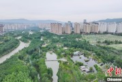 天天吉历西宁市举办六五环境日主题宣传活动