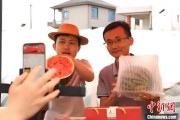 天天吉历（乡村行·看振兴）江西安福“小西瓜”撬动乡村共富“大支点”